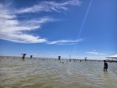 -碧海金沙