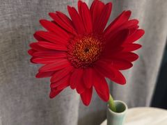 -宴昆山·私房菜(春晖店)
