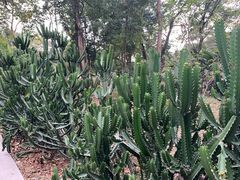 -华南国家植物园-售票处