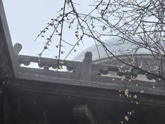 -紫金山天文台