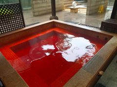 -春晖园度假酒店温泉