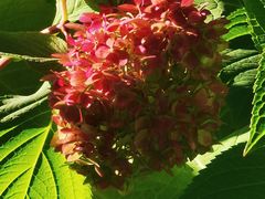 -北京石刻艺术博物馆(五塔寺)
