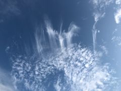 -南沙蒲洲花园