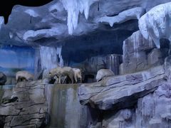 -多彩贵州城极地海洋世界