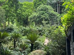 -深圳仙湖植物园
