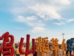 -梁鸿国家湿地公园