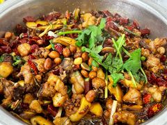 -食神又名厕所兔