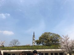 -白塔公园-儿童游乐园