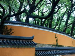 -普陀山风景名胜区-法雨禅寺