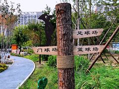 -回龙观体育文化公园