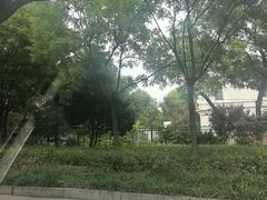 -门城湖公园