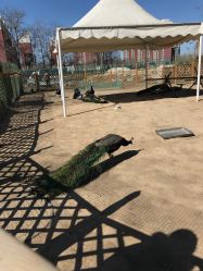 -萌宠亲子动物乐园(槐房万达店)