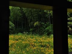 -兰亭风景区