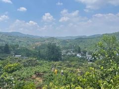 -桃源山庄·水蜜桃采摘·柴火鸡·烧烤团建(龙泉山店)