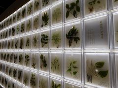 -广东中医药博物馆