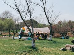 -长田漾湿地公园