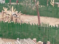 -沈阳森林动物园