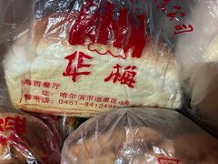 -华梅西餐厅(哈尔滨中央大街店)