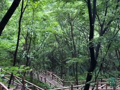 -大岭沟猕猴桃谷风景区