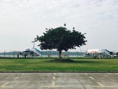 -绵阳南郊机场