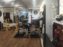 -温鉴良实用咏春拳