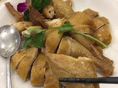 -金碧轩粤菜海鲜大酒楼