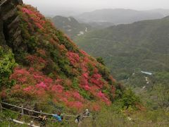 -木兰云雾山