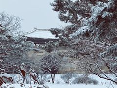 -景福宫