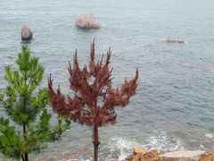 -崂山仰口游览区