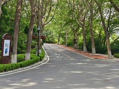 -棒棰岛宾馆景区