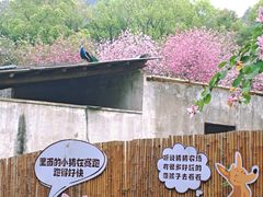 -柳州市动物园
