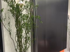 -W·24H茶楼·棋牌·掼蛋(望京店)