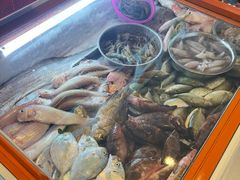 -龙记烤鸭店(新民路店)