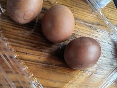 -西安国际创新人才交流中心•药浴温泉