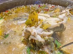 -石锅苗苗鱼(武汉首店)