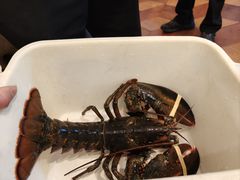 -苏浙汇(肇嘉浜路总店)