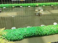 -曲江惠宾苑宾馆(大雁塔大唐不夜城店)