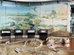 -自贡恐龙博物馆