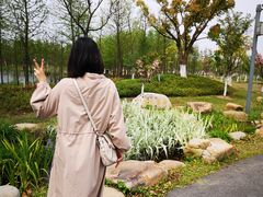 -上海长兴岛郊野公园