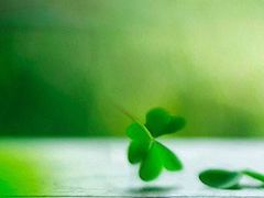 -兰剑驾校(汉阳校区)