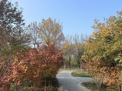 -回龙观体育文化公园