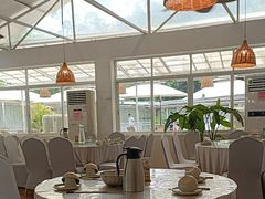 -芭厘·农庄老字号.电饭煲五指毛桃焗鸡