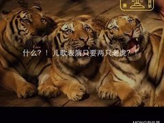 -沪小二炭火蛙锅(淮海中路美食不夜城店)