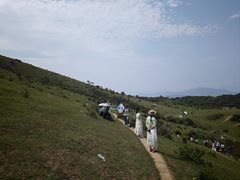 -大姆山草场