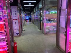 -花鸟鱼虫鲜花绿植市场(玉泉路店)