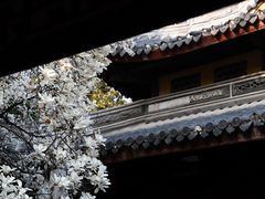 -龙华寺