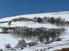 -克什克腾世界地质公园青山景区