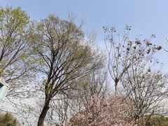-七桥瓮公园