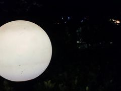 -向日葵咖啡