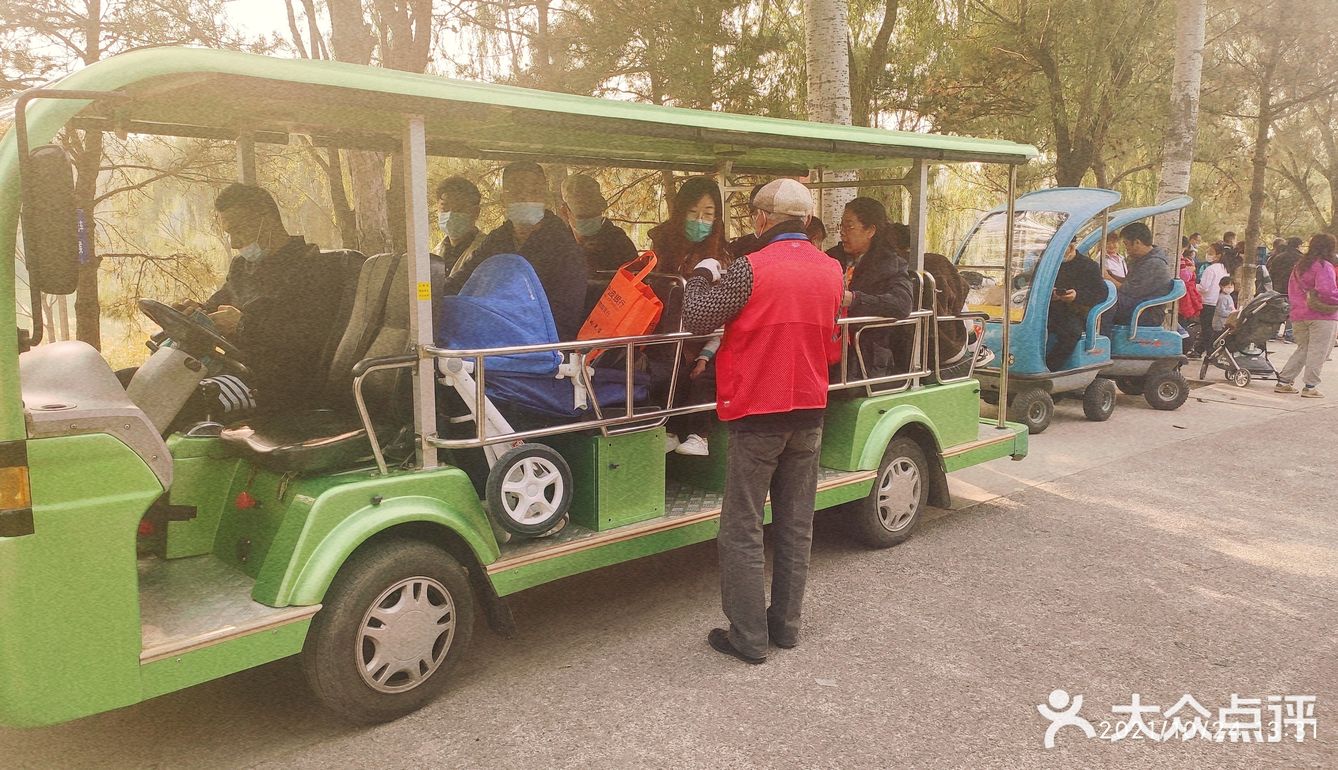 免费公园 近距离接触小动物